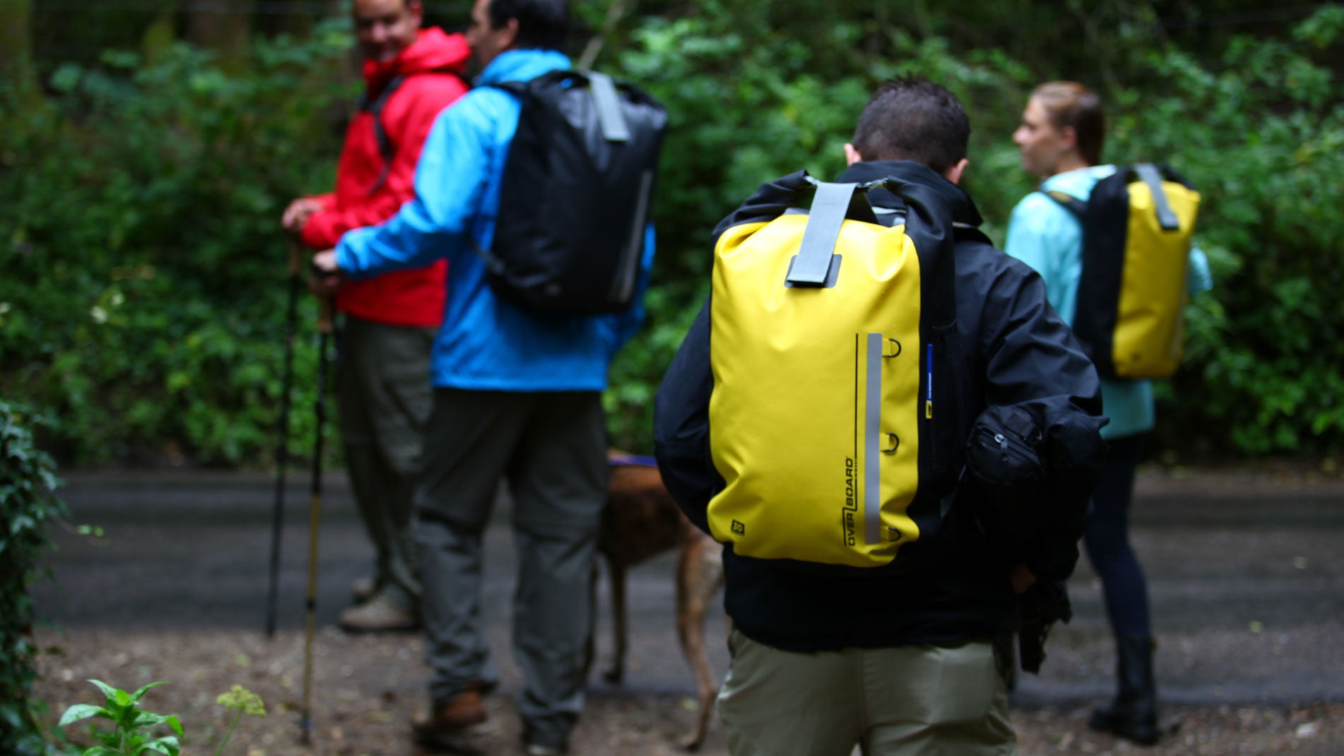 23 tips for backpacking in the rain (keep dry & fed)